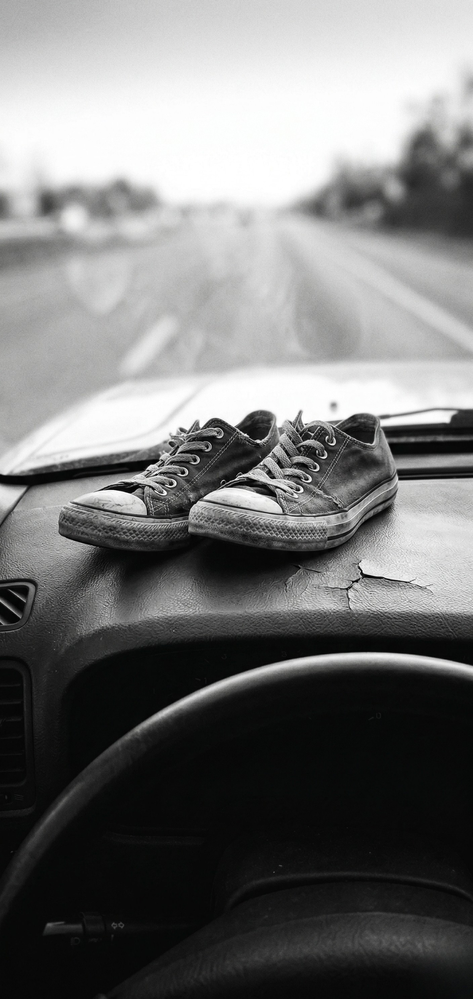 The Passenger